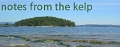 Notes from the Kelp